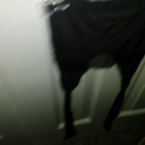 Black Pantyhose